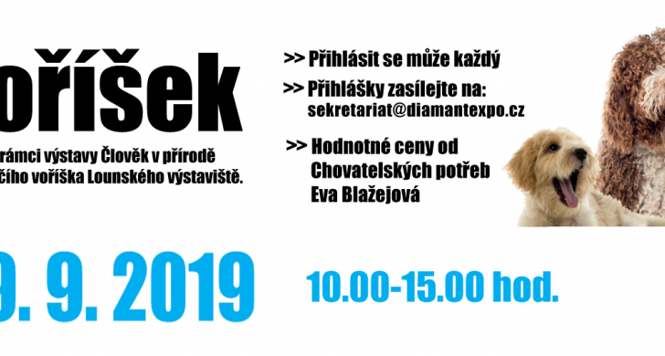 voříšek_web_2019-web.png